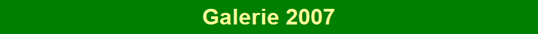 Galerie 2007